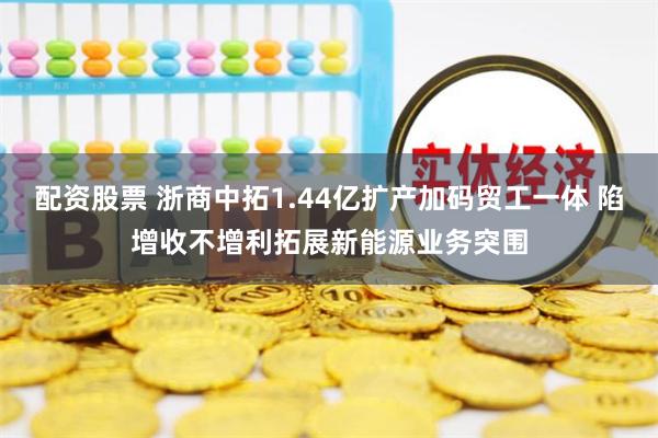 配资股票 浙商中拓1.44亿扩产加码贸工一体 陷增收不增利拓展新能源业务突围