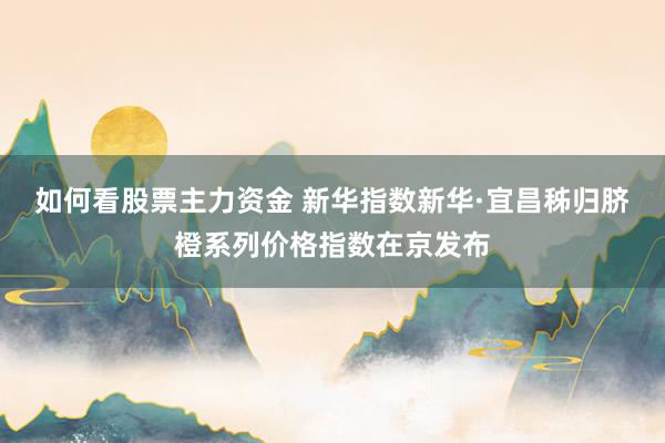 如何看股票主力资金 新华指数新华·宜昌秭归脐橙系列价格指数在京发布